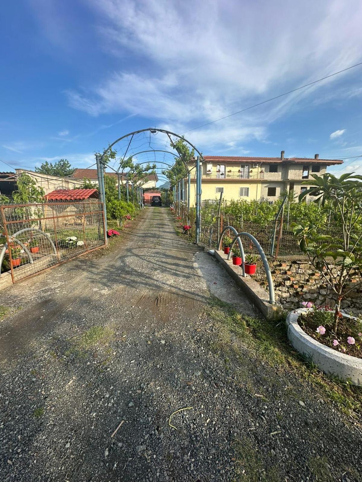 Guesthouse Marku - Mrizi I Zanave Fishte Dış mekan fotoğraf
