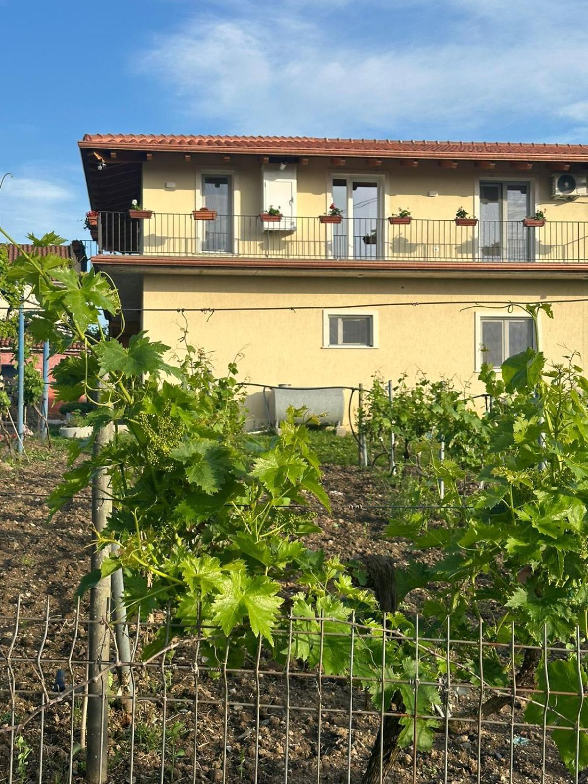 Guesthouse Marku - Mrizi I Zanave Fishte Dış mekan fotoğraf